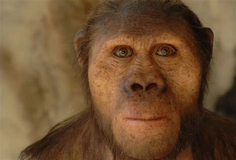 Paleoartist Brings Human Evolution To Life Science Smithsonian Magazine