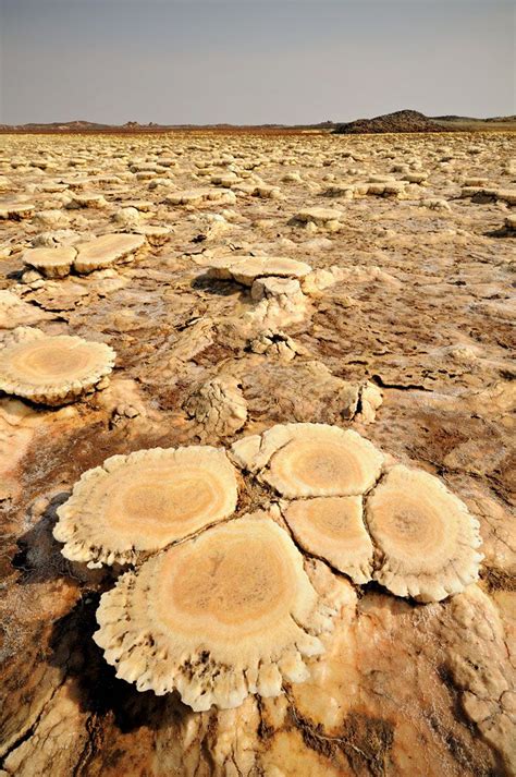 Concrétions Minérales Sur Le Volcan Dallol Dans Le Désert Du Danakil En