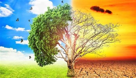 Causas y consecuencias del cambio climático. Consecuencias del Cambio Climático