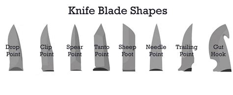 Knife Blade Types Guide Best Knives Reviews