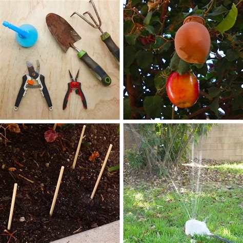 4 Diy Garden Tips And Tricks Garden Hacks Diy Gardening Tips Diy Garden