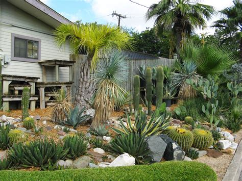 Home » landscaping ideas » modern front yard landscaping ideas. Rock-Oak-Deer: Garden Tour San Antonio Style: Cactus Marty's Collection