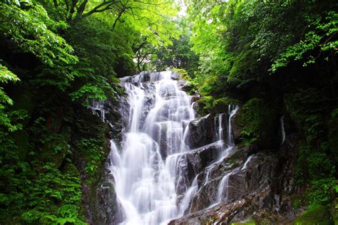 Shiraito Waterfalls Fukuoka Prefecture Must See Access Hours