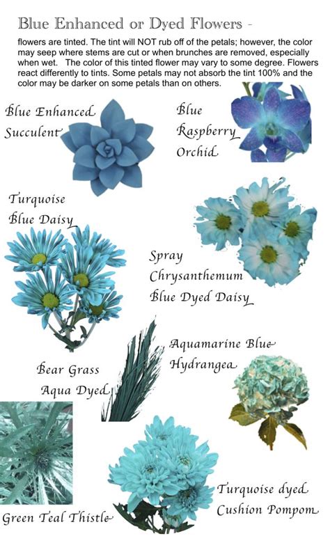 Flower Names By Color Flower Names Flower Garden Plans Blue Flower