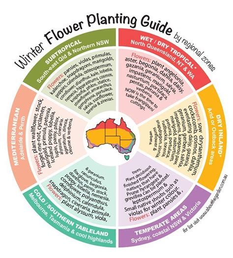 Winter Flowers Planting Guide By Regional Zones About The Garden Magazine