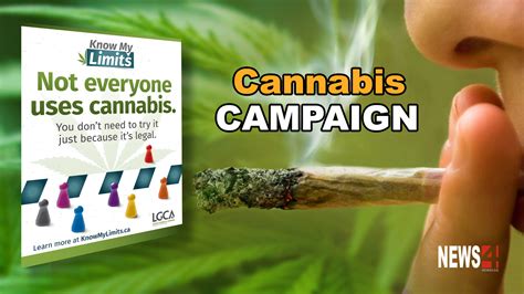Province Launches “know My Cannabis Limits” Campaign News 4