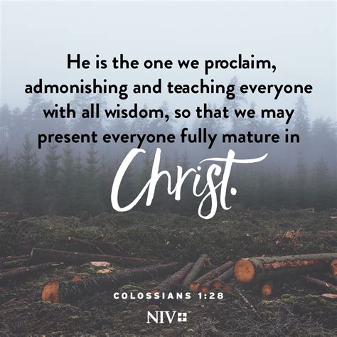 Niv Verse Of The Day Colossians 128