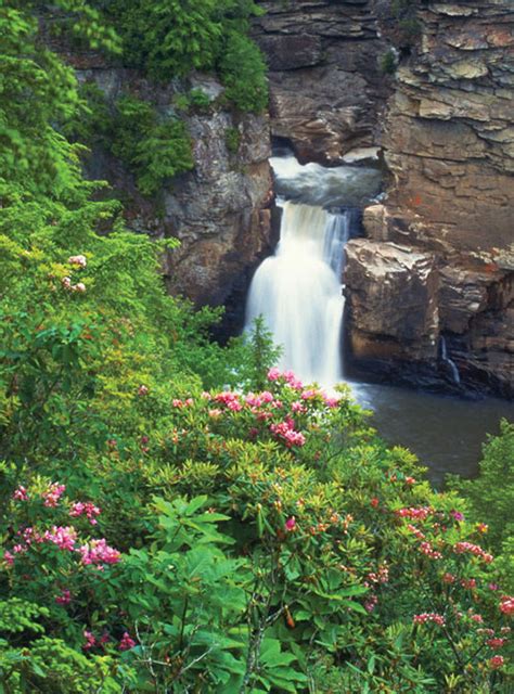 The Linville River Coastal Angler And The Angler Magazine