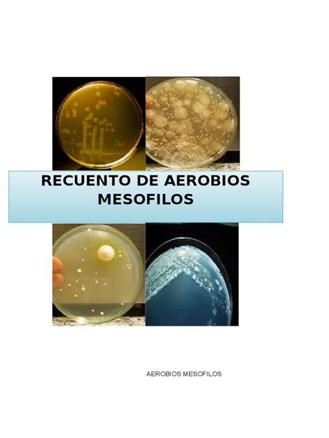 Aerobios Mesofilos Microorganismo Microbiología