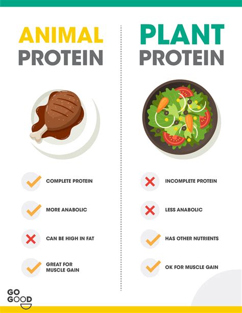 What Are The Differences Between Animal And Plant Based Protein Go Good