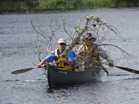 Collecting Firewood On The St Croix Canoe The St Collection