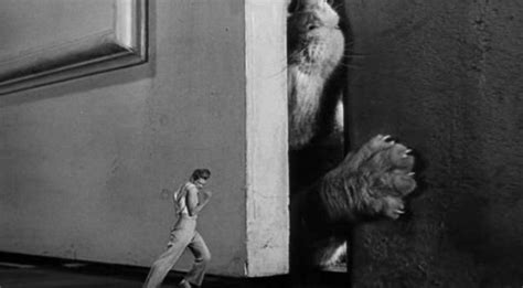 Cat Of The Day 068 The Incredible Shrinking Man Cats On Film