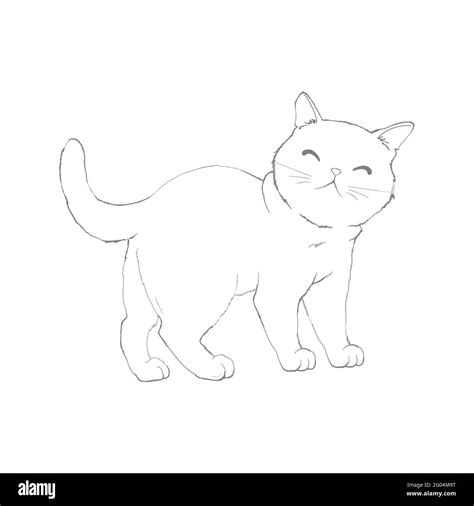 Boceto De Un Gato Aislado Sobre Un Fondo Blanco Lindo Dibujo Vectorial