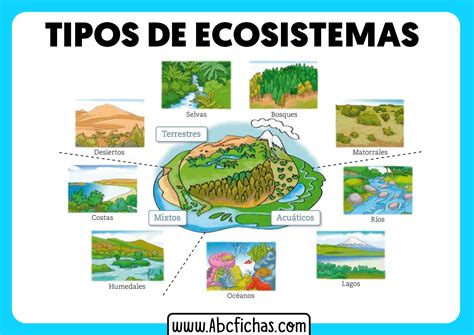 Historia De Los Ecosistemas Ecosistemas Mas Importantes Del Mundo My