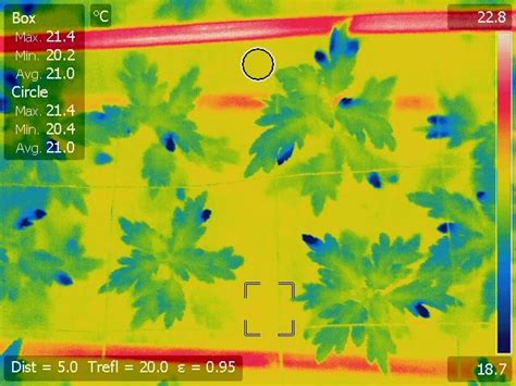 Infrared Images To Help Understand Plants Wur