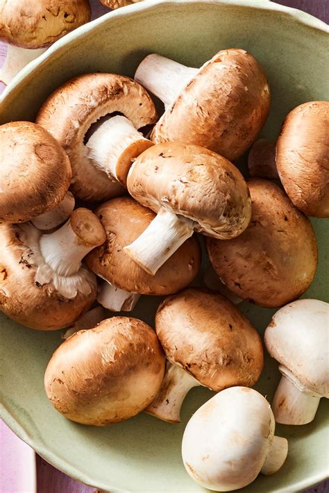 All the Types of Mushrooms You Should Know | Better Homes & Gardens