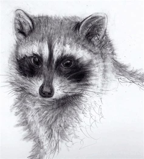 Learn how you can draw different animals step by step. Pencil Animals on Behance