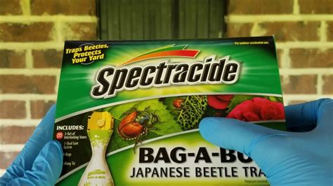 Spectracide Bag A Bug Japanese Beetle Trap Part 1 Youtube