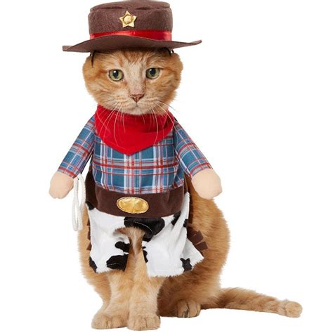 Cute Alert 10 Cat Halloween Costumes For Your Favorite Feline Bechewy