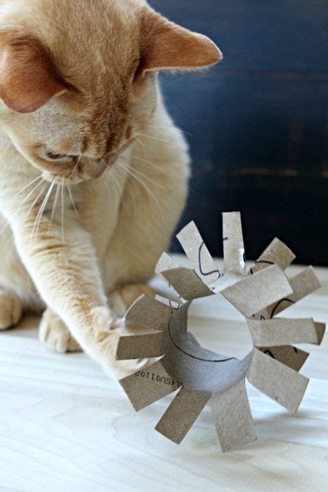 Genauso beliebt wie malen ist das kneten. Кatzenspielzeug selber machen - 65 prickelnde Ideen und ...