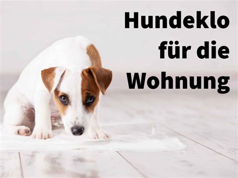 Freistehendes haus für die aktive familie! Hundeklo für die Wohnung - Toiletten für Welpen oder ...