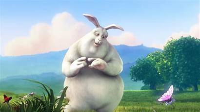 Bunny Rabbit 1080p Hdtv Fhd