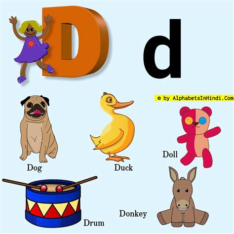 D For Dog Alphabet Phonic Sound And 5 Words Hd Image