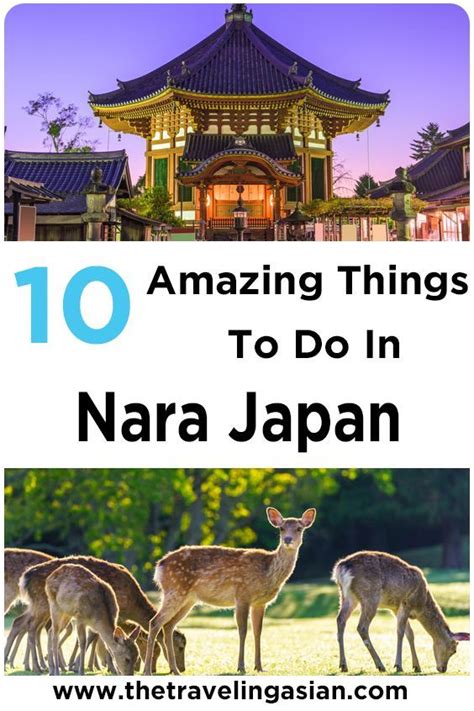 10 Best Things To Do In Nara Japan Nara Japan Japan Travel Guide Japan
