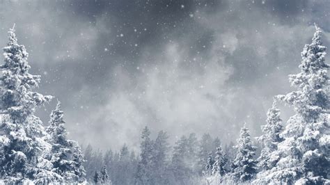 46 Winter Scene Backgrounds Wallpapersafari