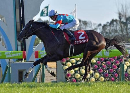 18:33 競馬予想ぜんこう 4 937 просмотров. 【日経新春杯】1番人気グローリーヴェイズが重賞初V 土曜未 ...