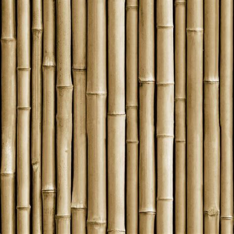 Bamboo Peel And Stick Wallpaper Peel And Stick Wallpaper Bamboo