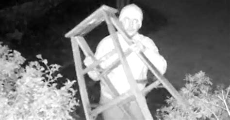 Possible Peeping Tom Caught On Video Carrying Ladder To Woman S Bedroom
