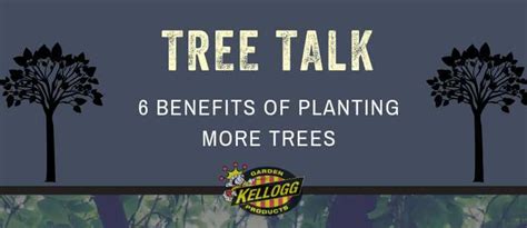 6 Benefits Of Planting Trees Kellogg Garden Organics