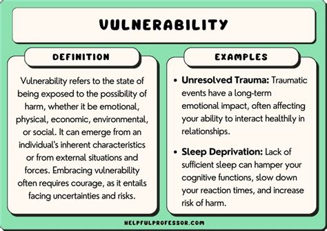 50 vulnerability examples 2024