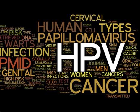 Human Papillomavirus Hpv Infection Transmission Can Increase Skin