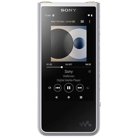 Sony Walkman Nw Zx507 Portable Hi Res Touch Screen Mp3 Player 64gb
