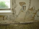 Termite Damage Sheetrock Photos