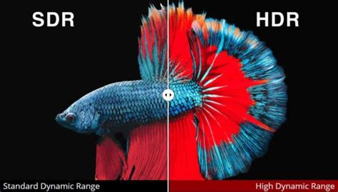 What Is Hdr Hdr Vs Sdr Comparison Medium Hunter