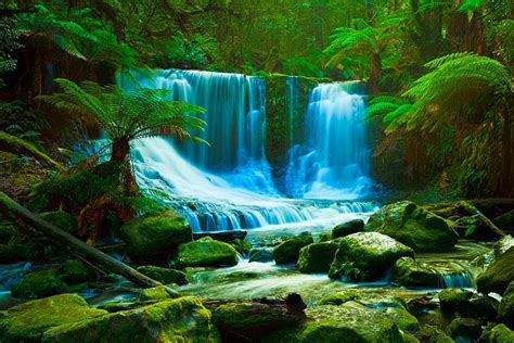 Enchanted Waterfalls Rainforest Pictures Rainforest Waterfall Pictures