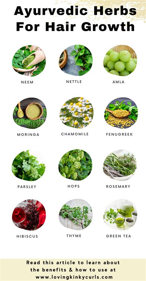 Top 100 Image Herbs For Hair Growth Vn