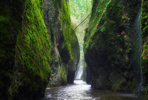 The 1 Mile Oneonta Gorge Waterfall Hike In Oregon