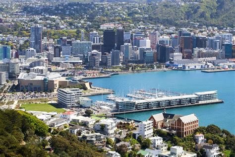 Wellington City Sights And Coastline 25 Hour Tour In Wellington My