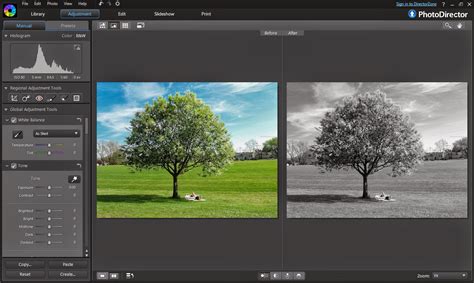 Converting Photos To Black And White