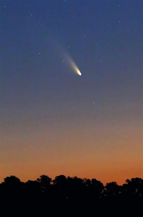 Comet Panstarrs Photograph By Luis Argerich Fine Art America