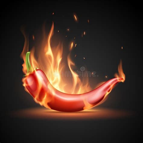 Realistic Hot Red Pepper In Flame Stock Vector Illustration Of Garden