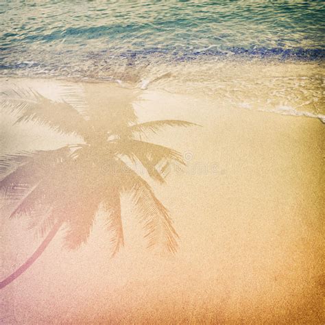Palm Tree Shadow On The Sandy Beach With Ocean Wave Stock Image Image