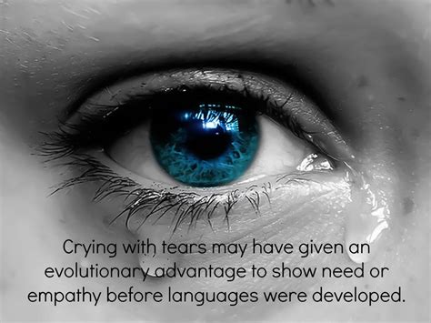Most Useful Information Why Do We Shed Tears When Were Sad