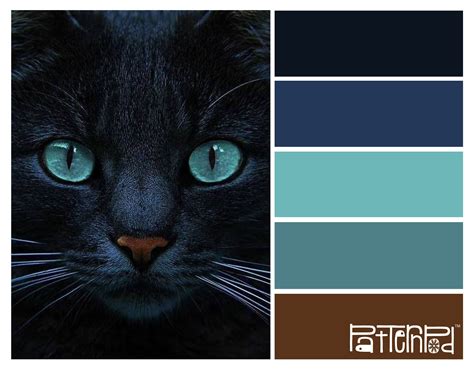 Black Cat Patternpod Patternpodcolor Color Kleurenschemas
