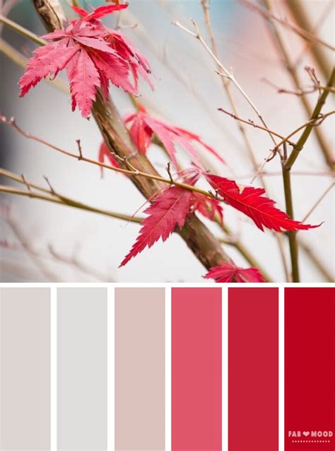 Autumn Winter Color Palette Inspired By Autumn Leaves