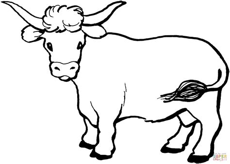 Cow 10 Coloring Page Free Printable Coloring Pages